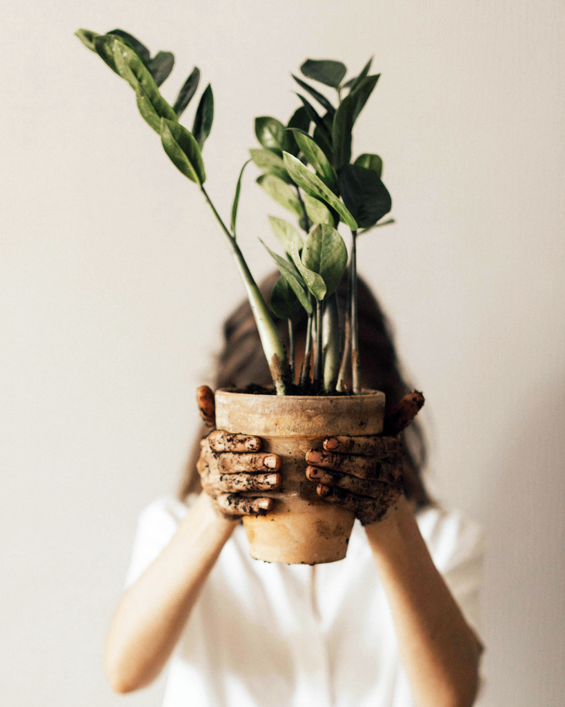 Small Steps for a Big Impact This Earth Day 2025