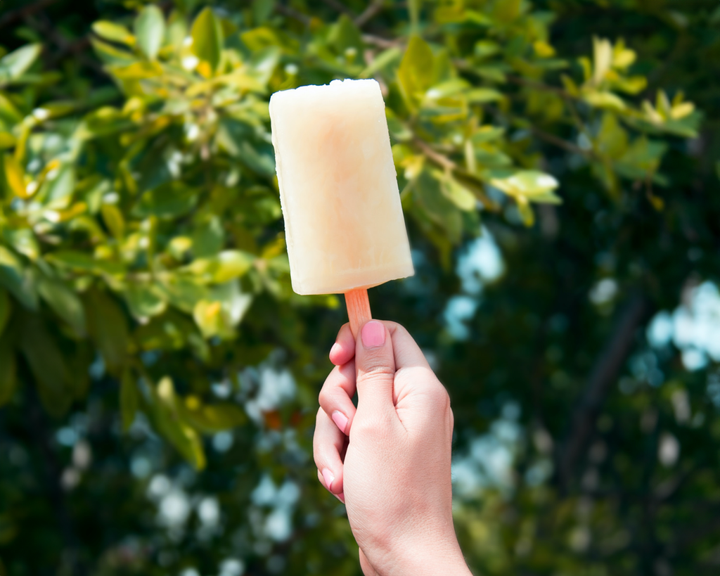 Cool Down Recipes: Homemade Frozen Treats Galore!