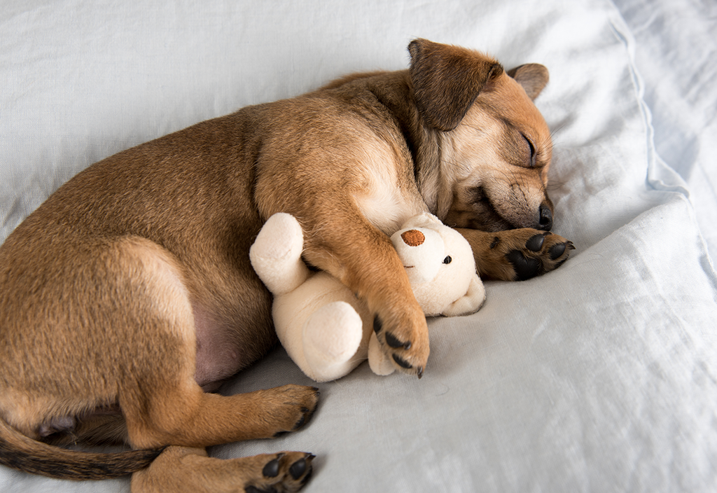 Sleep Hacks for Bedtime Bliss