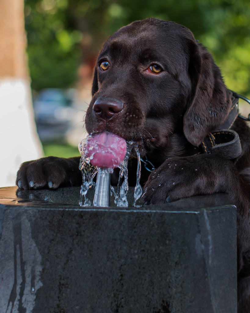 10 Ways To Stay Hydrated Without Having To Chug More Water